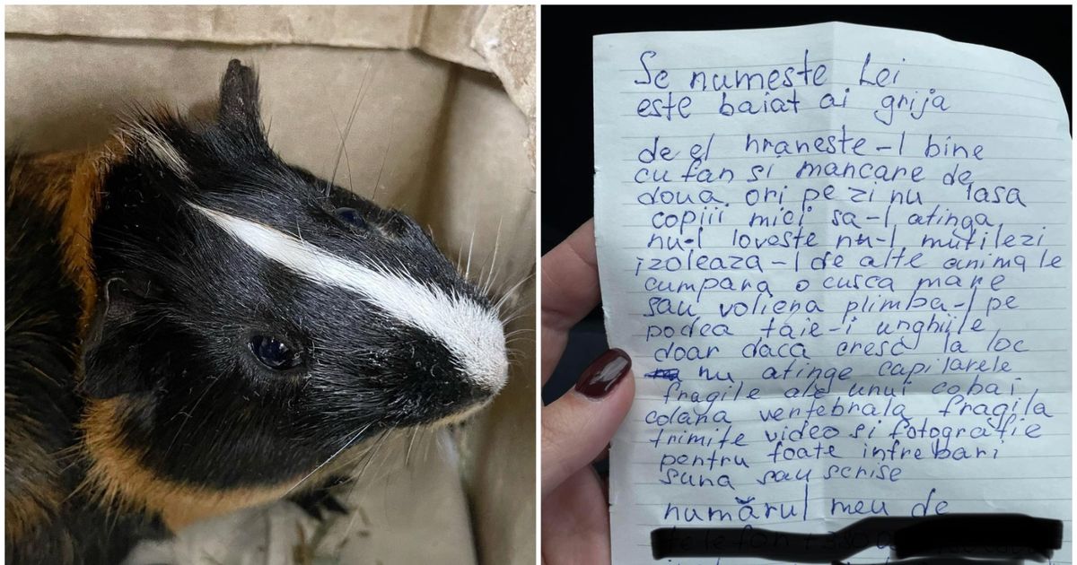 Sfâşietor! Ce a putut să-i scrie o fetiţă, refugiată din Ucraina, unei românce!