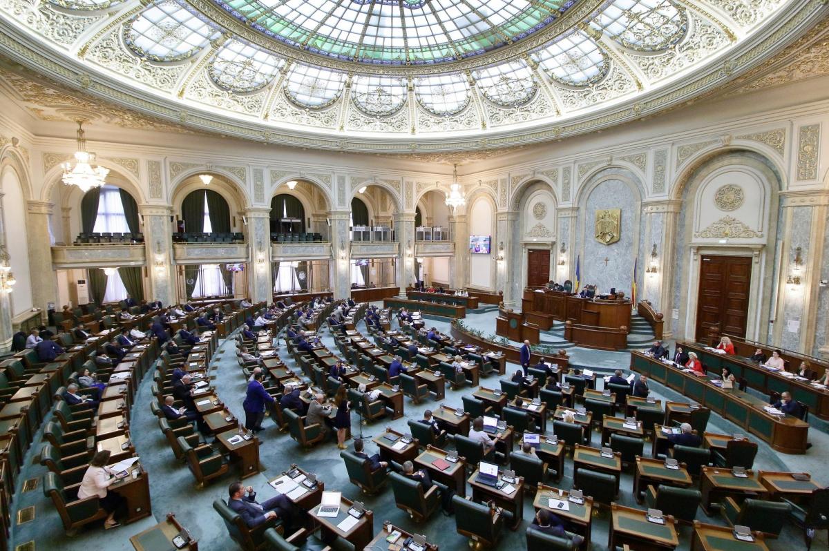 Senatul a votat pentru a impozita românii angajați la domiciliu