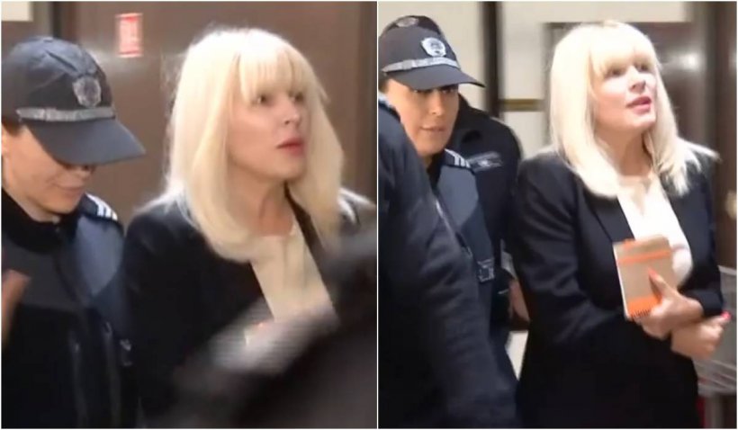 Elena Udrea nu va turna pe nimeni, explică avocata fostului ministru