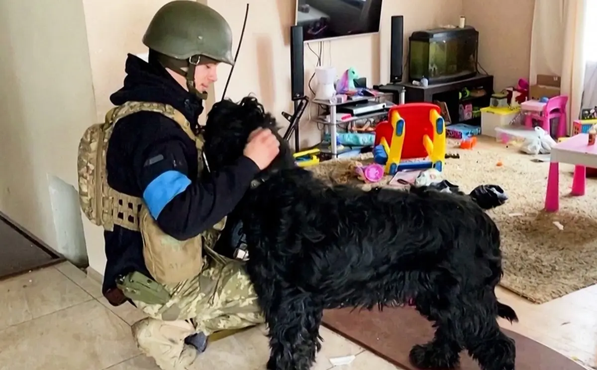 Descoperire emoționantă a unui soldat ucrainean într-o casă părăsită. A fost adoptat pe loc