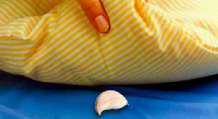 Această femeie a pus un căţel de usturoi sub perna băiatului ei în fiecare seară. Şi tu vei proceda la fel după ce vei afla de ce