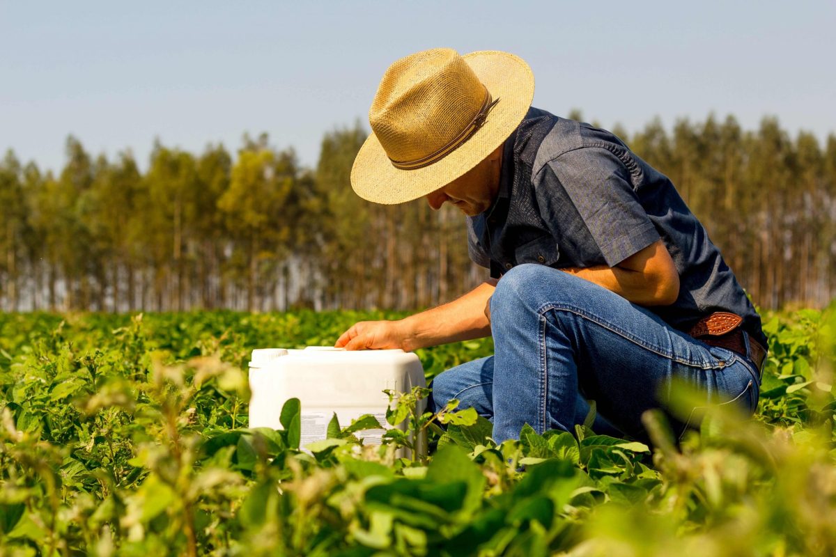 Sprijin pentru sectorul agroalimentar: 300 de milioane de euro din fonduri externe nerambursabile