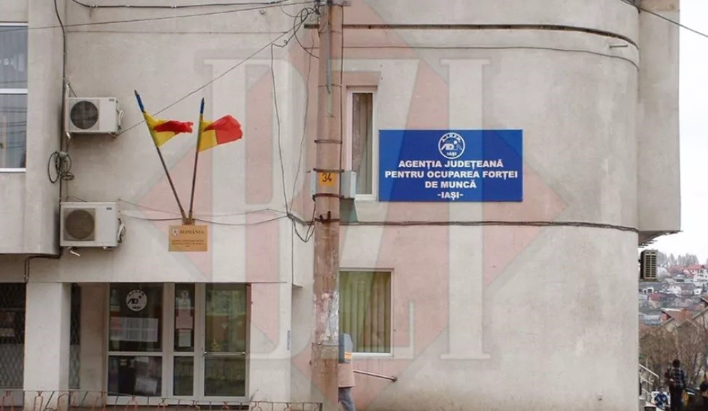 Ieșenii au noi șanse să se angajeze: Se caută atât persoane cu studii superioare, cât și muncitori necalificați