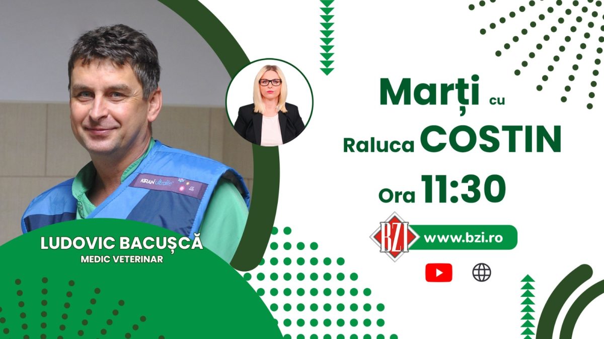 De unde putem cumpăra animale de companie și cum trebuie îngrijite în această perioadă? Aflați de la medicul veterinar Ludovic Bacușcă, numai la BZI LIVE!