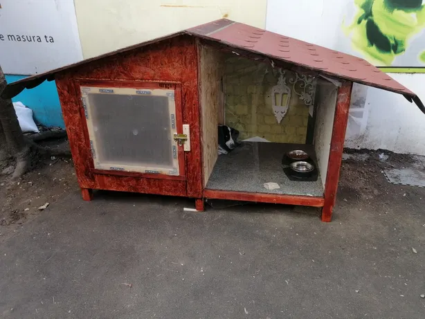 Un copil de 12 ani a murit acum o lună. Tatăl său, pentru a-i încasa încă alocaţia, i-a ţinut cadavrul ascuns în cuşca câinelui