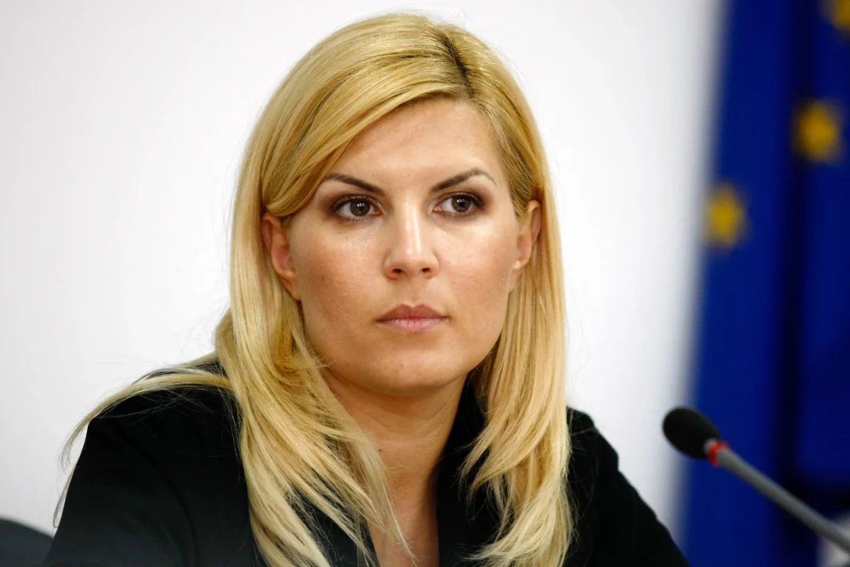 Ce educație are Elena Udrea? Detalii din viața fostului om politic