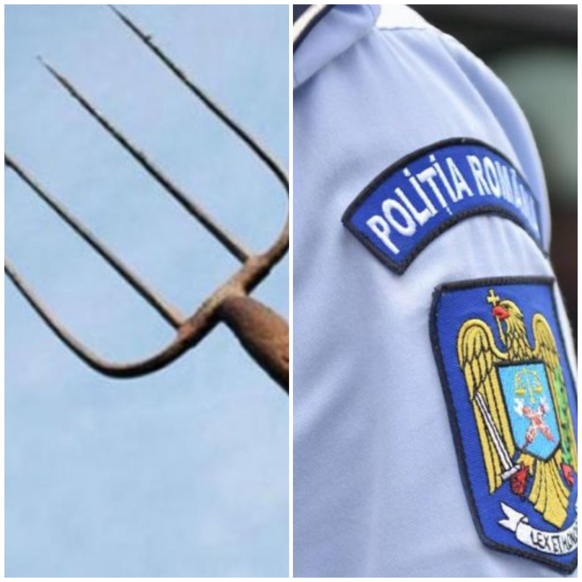 Oamenii legii, la un pas să fie omorâţi. Un bărbat furios i-a atacat pe poliţişti cu satârul şi o furcă
