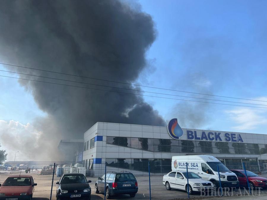 Incendiu puternic la o hală cu țevi din Oradea. Pompierii au intervenit în forță – FOTO, VIDEO
