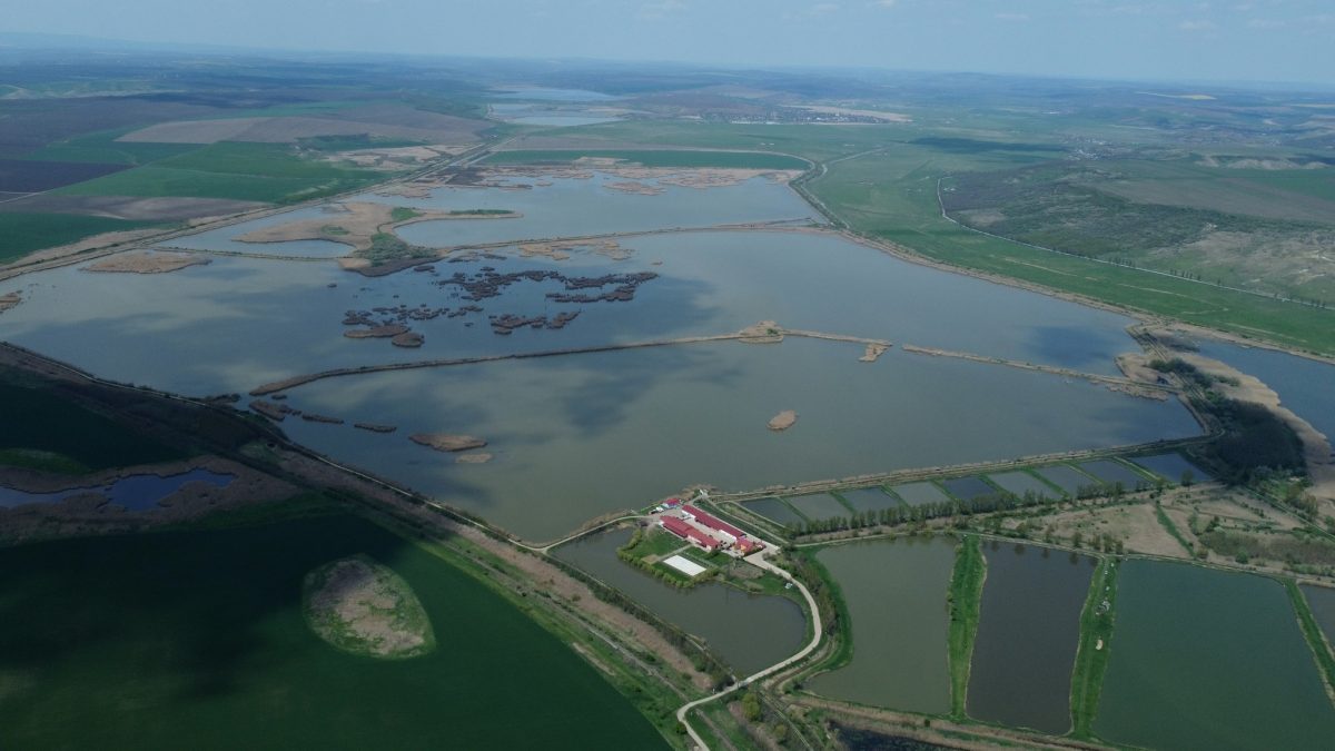 „Delta Moldovei”, la numai 25 de km de Iași. Aria protejată are peste 200 de specii de păsări – GALERIE FOTO