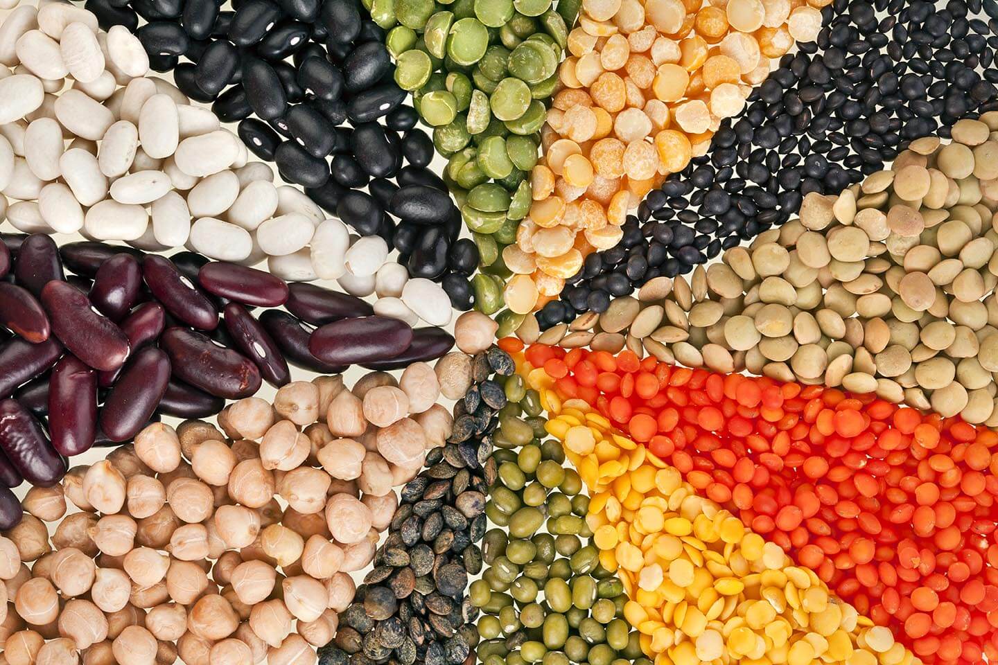 mai multe tipuri de seminte cu o cantitate mare de proteine