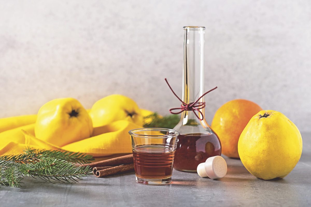 Cum se prepară lichiorul de gutui? Rețetă de gutuiată de casă, naturală și aromată, explicată pas cu pas