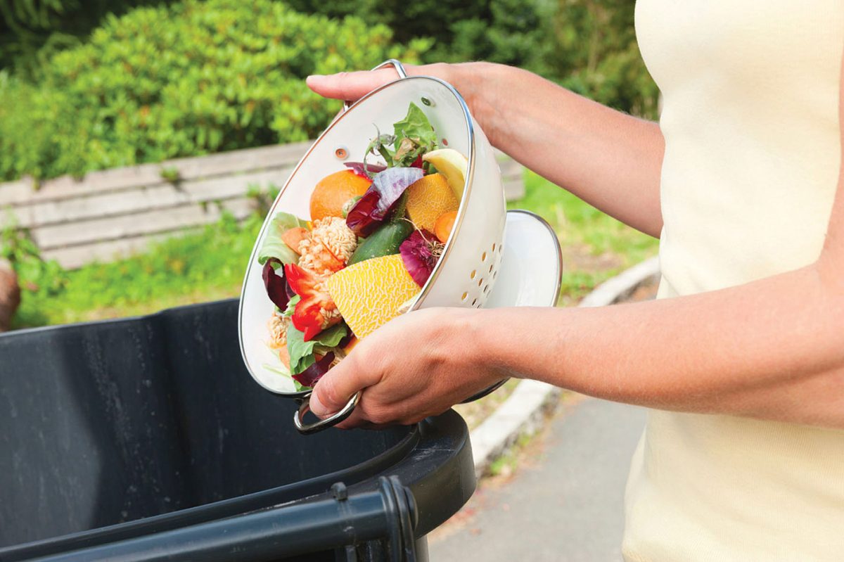 Românii aruncă la gunoi alimente care valorează miliarde de euro. Asta în plină criză alimentară