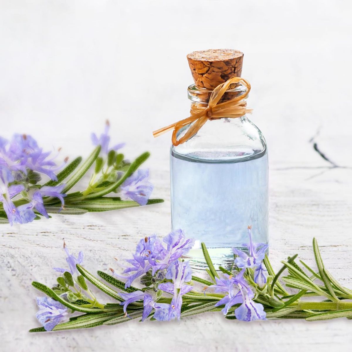 Ulei de rozmarin pentru păr. Avantajele remediului față de alte produse de styling