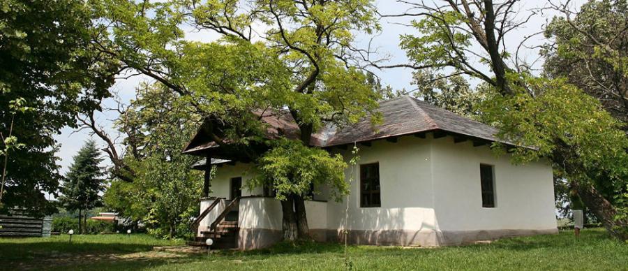 Festivităţi la Ipoteşti, cu ocazia comemorării celor 133 de ani de la moartea scriitorului Mihai Eminescu