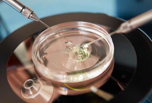 Programul de fertilizare in vitro. Femeile peste 40 de ani ar putea să nu mai beneficieze de procedură