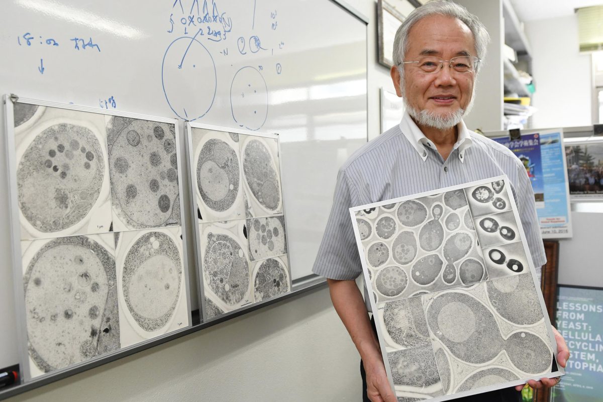 Un japonez, laureat al Premiului Nobel, a ajuns viral în lume după ce și-a prezentat dieta