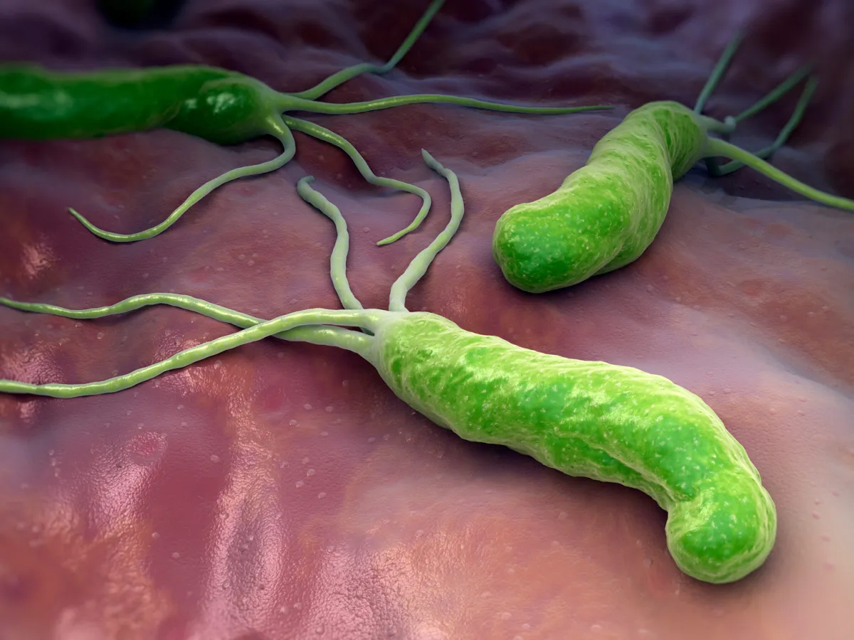 Antibiotice pentru helicobacter pylori. Terapia cu trei componente care te va ajuta să scapi de patologie