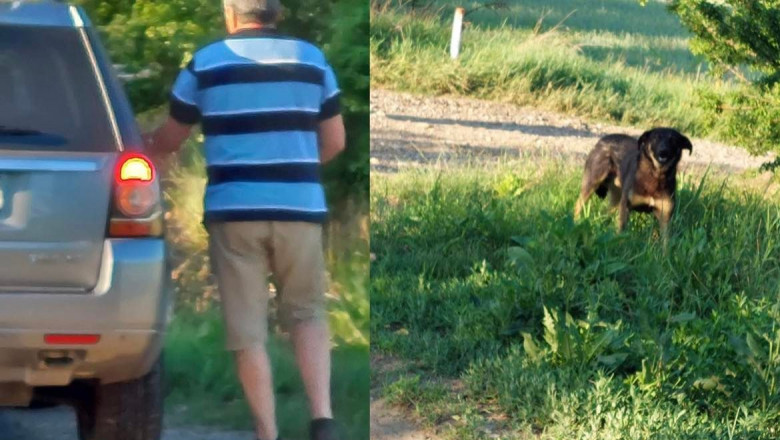 Un bărbat din Ilfov a fost amendat cu 12.000 de lei după ce și-a abandonat câinele