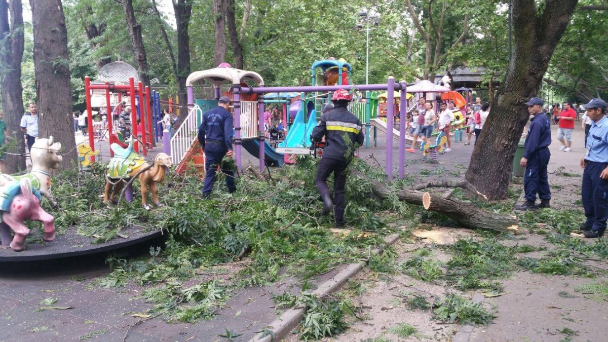 Un copac de peste 10 metri înălțime din Parcul Cișmigiu s-a prăbușit peste un loc de joacă