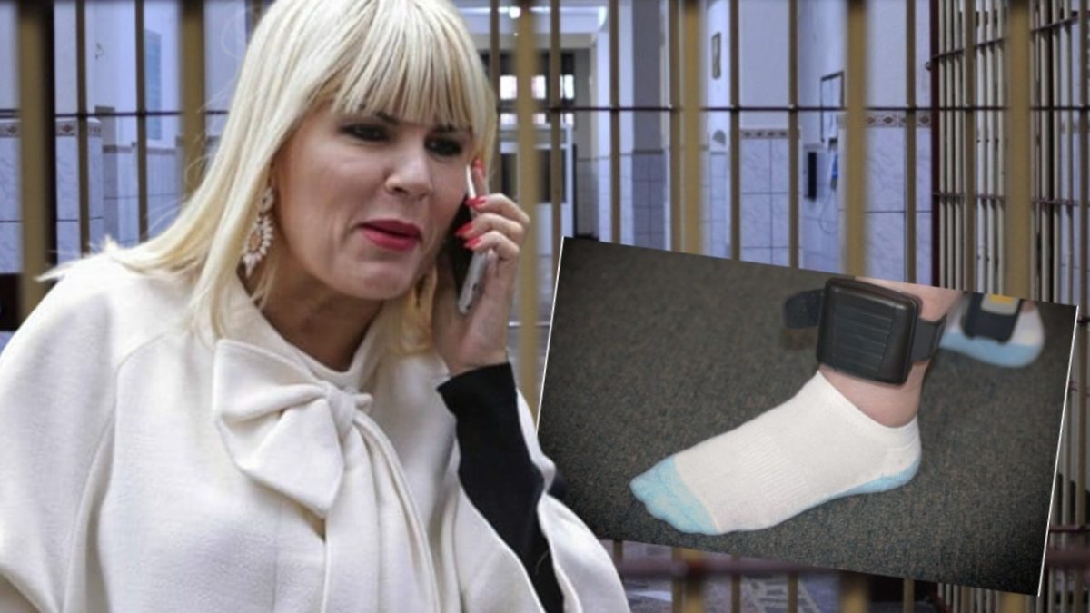 Elena Udrea află azi dacă va fi extrădată din Bulgaria. Soarta fostului ministru, decisă de judecători