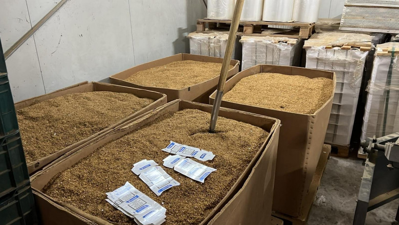 O fabrică ilegală de țigări a fost descoperită la Buzău. O tonă de tutun și cartoane inscripționate cu mărci cunoscute, confiscate