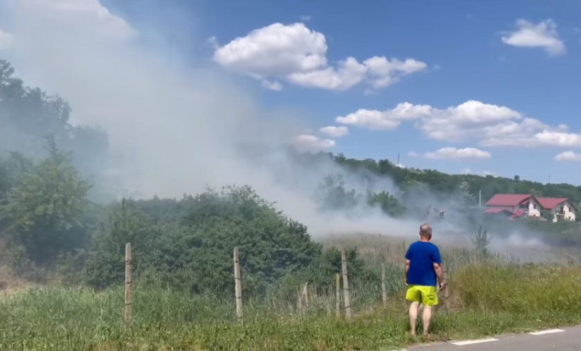 Incendiu de vegetaţie uscată în comuna Miroslava. Pompierii intervin în forţă – EXCLUSIV, VIDEO