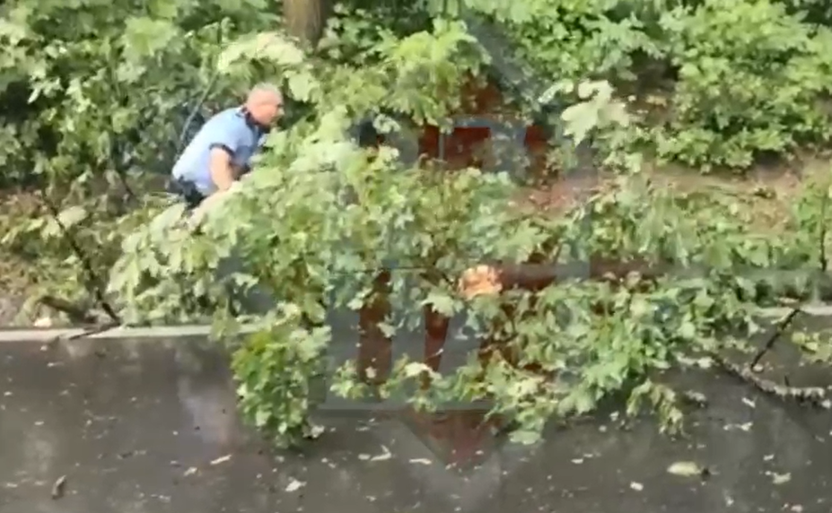 În ce fel poate face! Abţineţi-vă din râs dacă puteţi! Un poliţist local din Iaşi s-a gândit să-şi filmeze colegul în timp ce trage un copac căzut în stradă după furtună, dar a uitat să ,,taie” sunetul – VIDEO