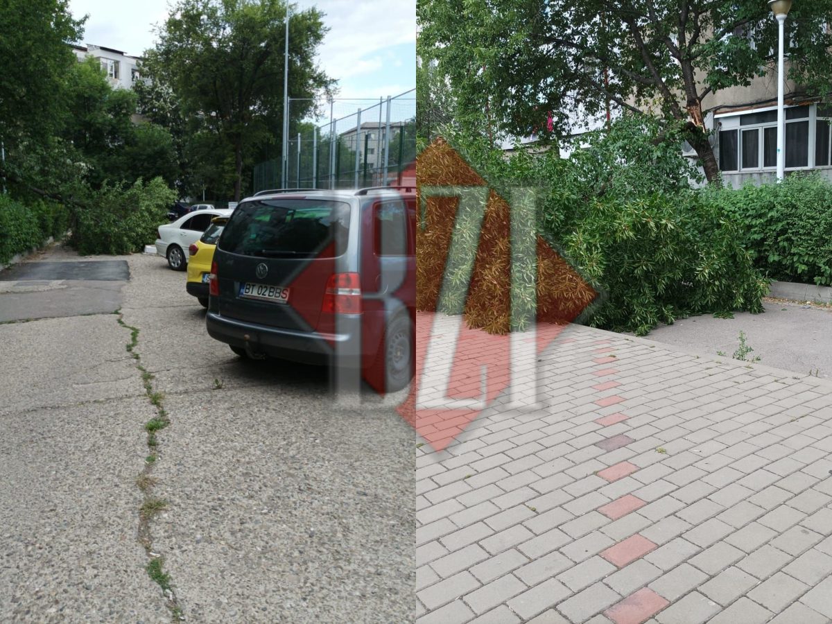 Stradă importantă din cartierul Alexandru cel Bun, blocată