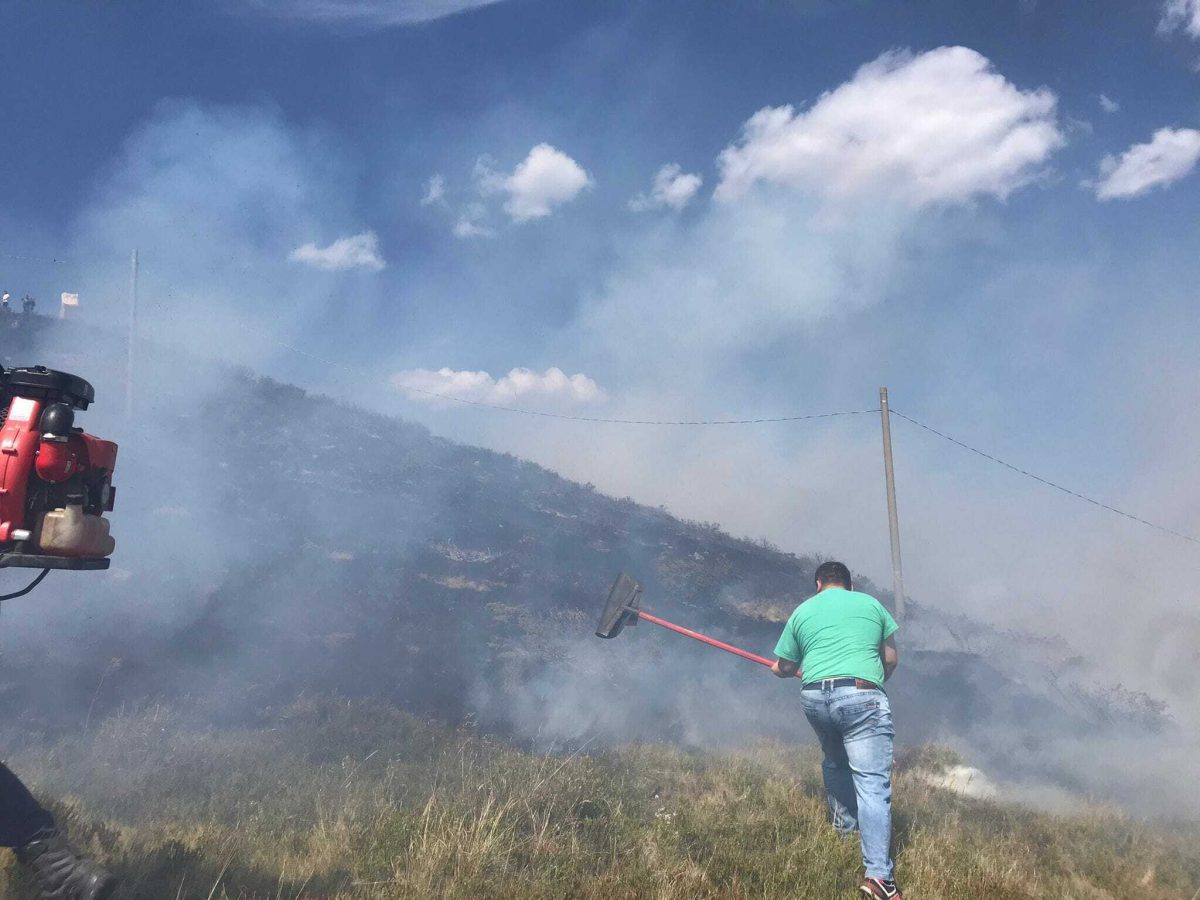 Muntele Găina a luat foc. Suprafaţa afectată de flăcări este de aproape un hectar – FOTO