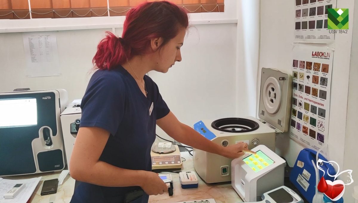 Singura bancă de sânge și  primul centru de transfuzii veterinar din Moldova, la USV Iași