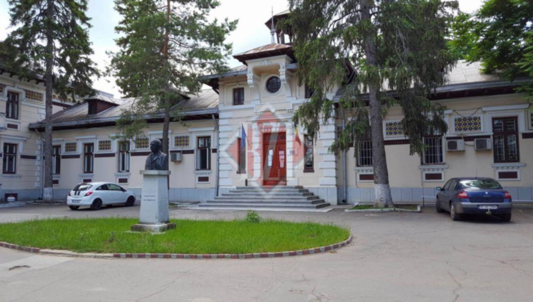 Zilele Institutului de Psihiatrie „Socola” Iași. Primul HUB de promovare a sănătății mintale