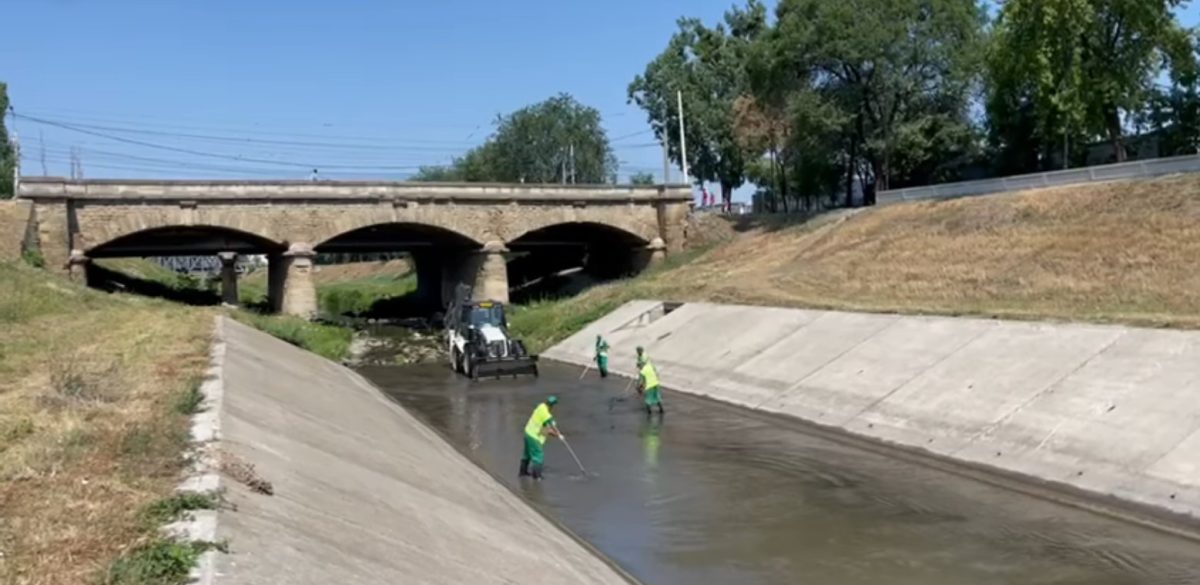 Echipele Salubris SA au făcut astăzi, printre altele, și lucrări de salubrizare a albiei râului Bahlui – VIDEO