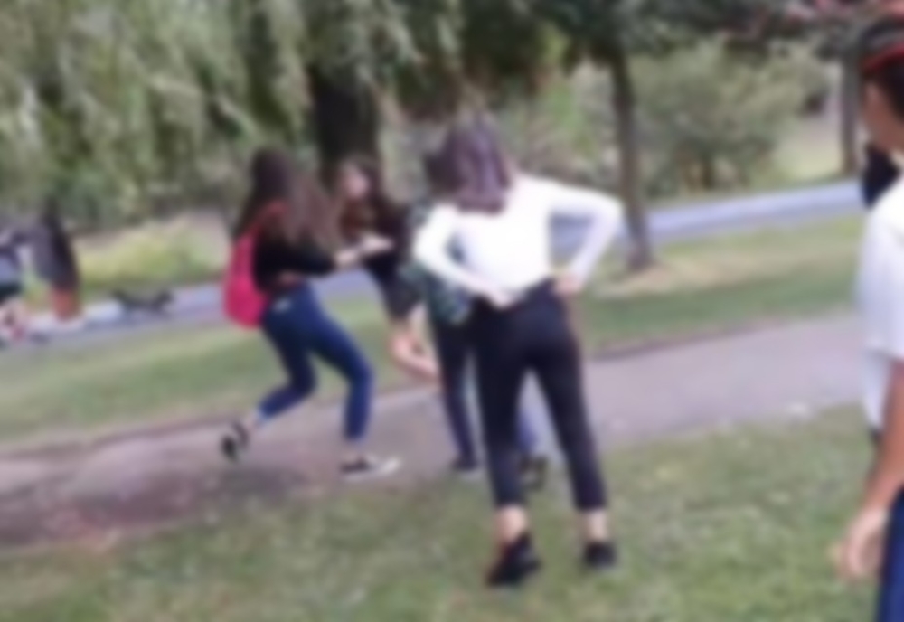 Bătaie ca-n filme între trei adolescente, în Teleorman. De la ce a pornit tot scandalul