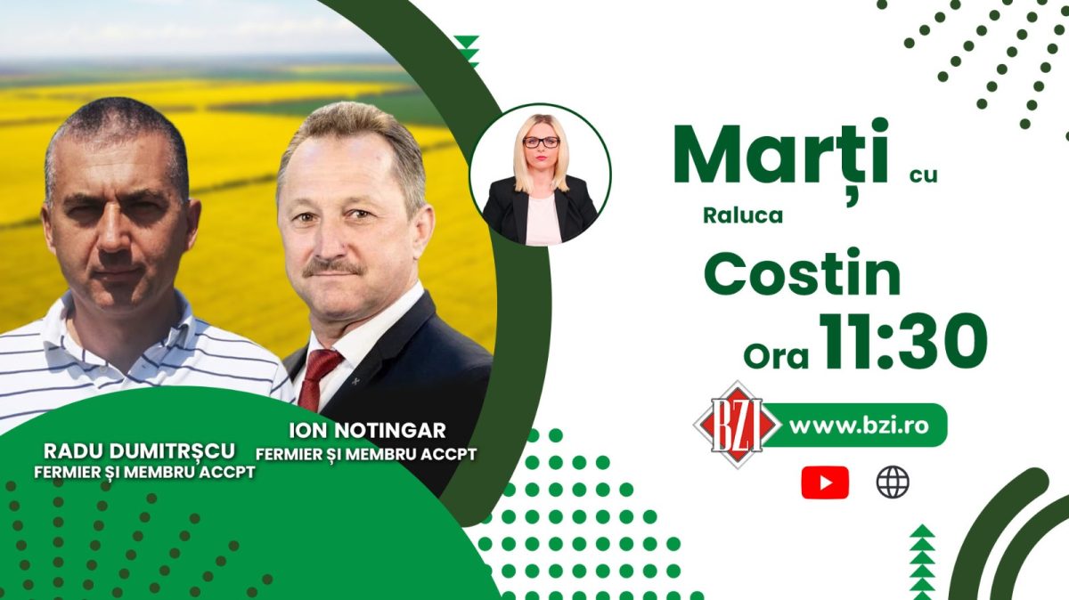 Ce despăgubiri pentru secetă primesc fermierii? Discuție cu agricultorii Radu Dumitrașcu și Ion Notingar, numai la BZI LIVE!