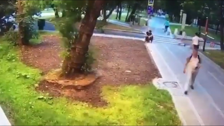 Un copac a căzut peste un bărbat şi l-a ucis. Totul s-a întâmplat la Moscova, pe Bulevardul Ucrainei – VIDEO