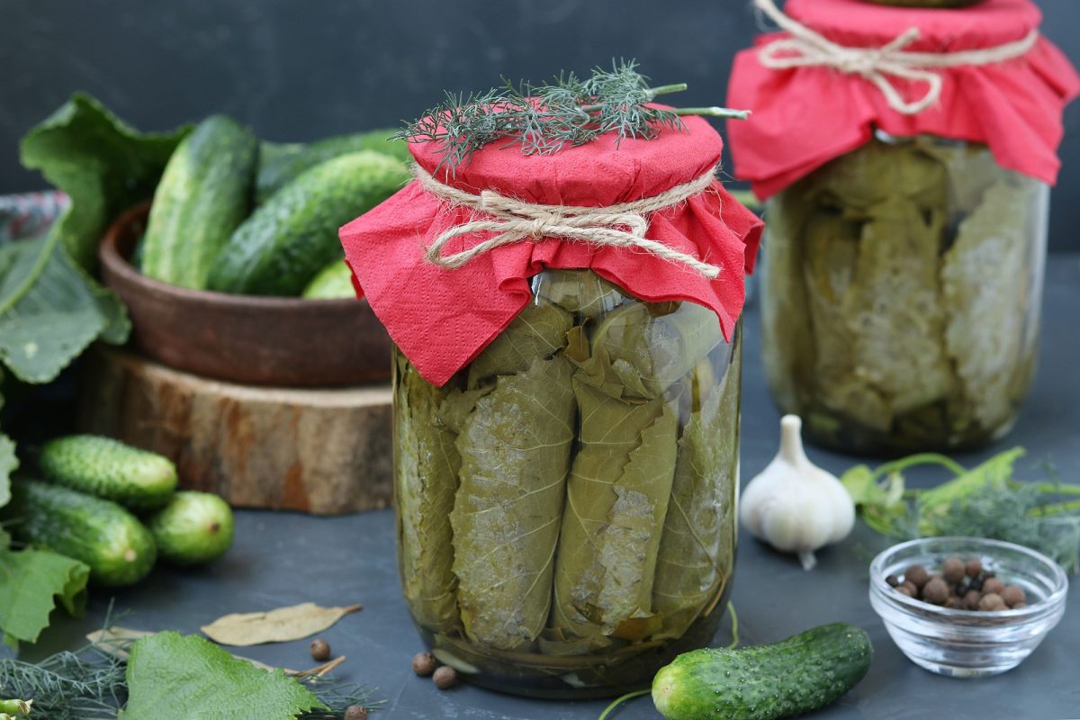 Frunze de vie la borcan. Cum să le congelezi și să le pui la murat corect