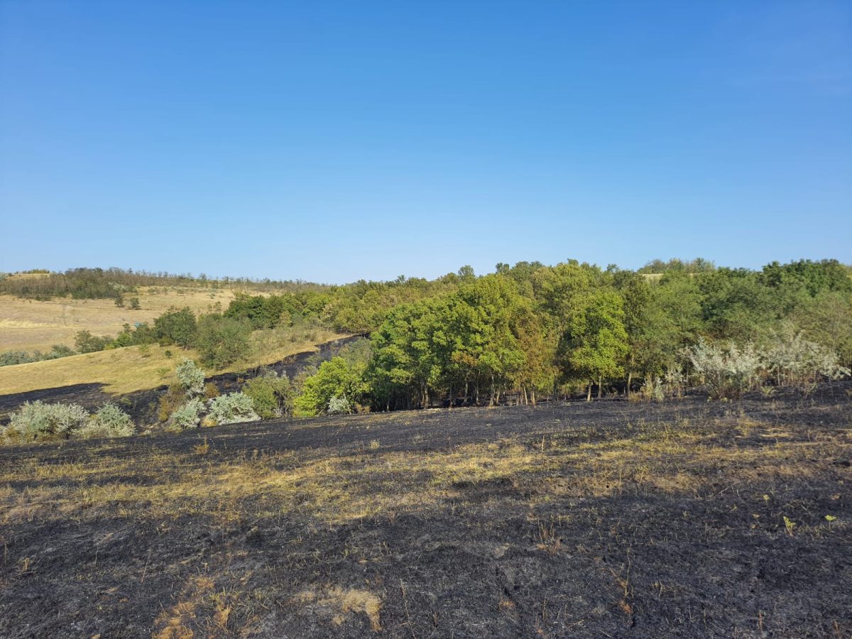 Incendiu de vegetație uscată în localitatea Bălțați. Au intervenit mai multe autospeciale – GALERIE FOTO