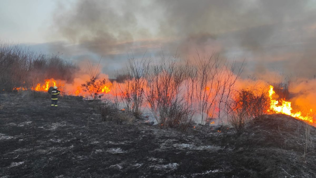 Incendii de vegetaţie în trei comune din judeţul Iaşi. Pompierii intervin în forţă – EXCLUSIV