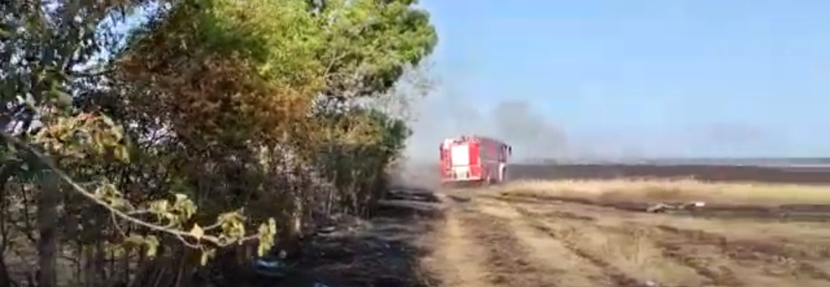 Incendiu de vegetație, propagat la mai multe gospodării în Piatra Olt – VIDEO