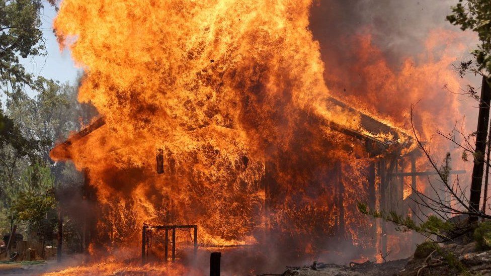 Incendiu de vegetație în SUA, California. Pompierii se luptă cu flăcările – FOTO