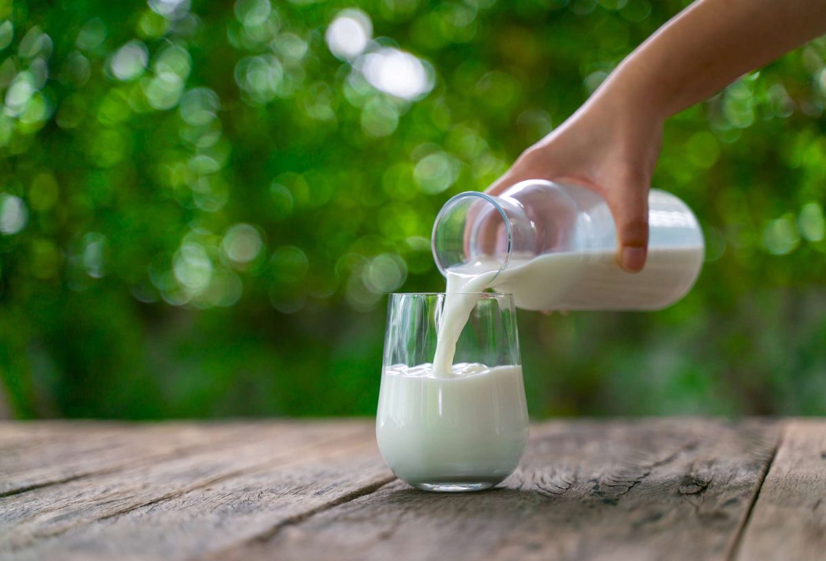 Laptele de măgăriță, tratamentul-minune pentru bolile plămânilor. Află care este doza zilnică recomandată de nutriționiști