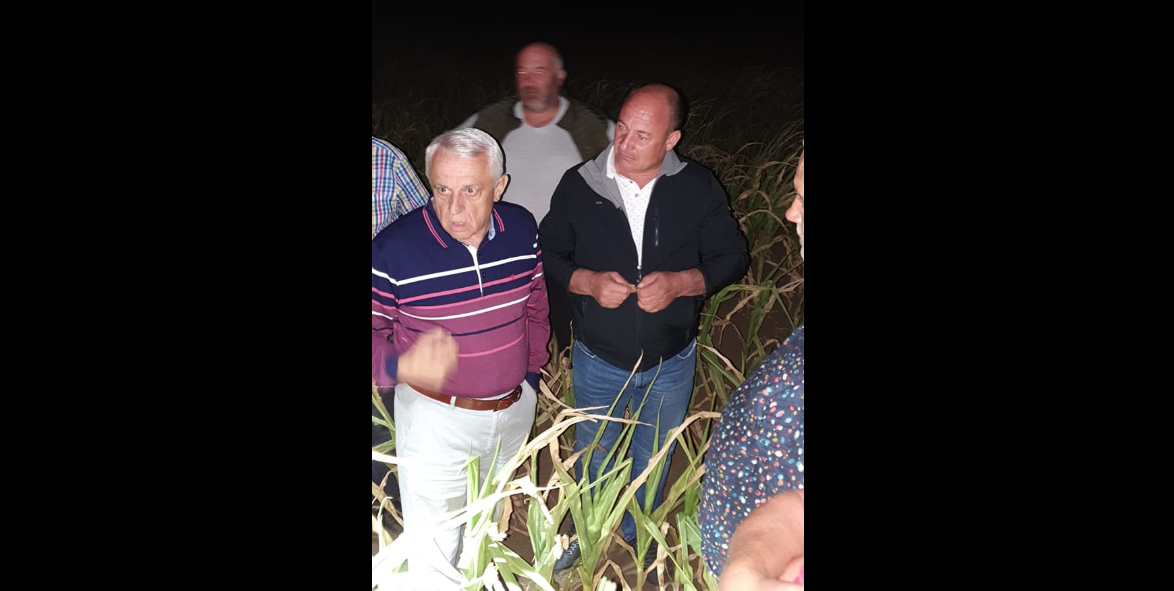 Petre Daea a mers în câmp și a vizitat culturile fermierilor distruse de secetă, noaptea – FOTO