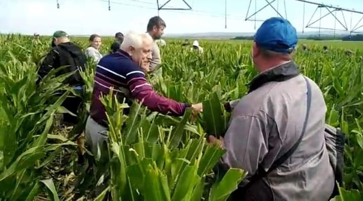 Petre Daea, noul ministru al Agriculturii, a fost în județul Iași. Vizită pe un teren din comuna Trifești