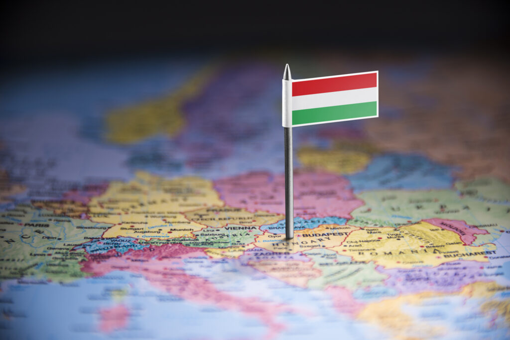 Companiile din Ungaria vor putea să-și plătească taxele în euro sau dolari