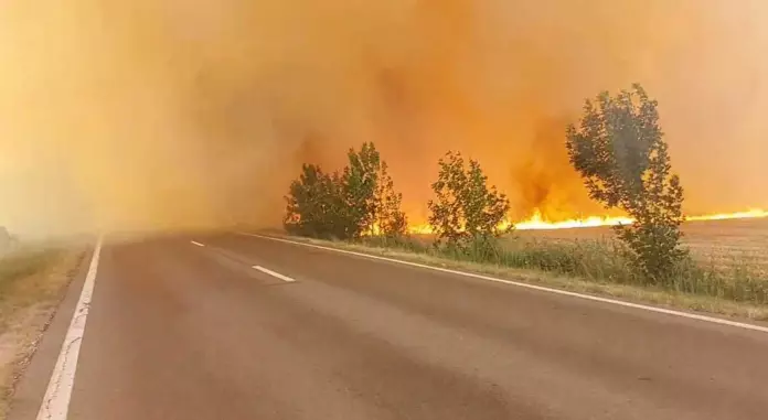 Incendiu de vegetaţie pe DN 1, între Ploieşti şi Braşov