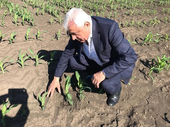 Ministrul Agriculturii, recomandare pentru români. Petre Daea susţine producătorii locali