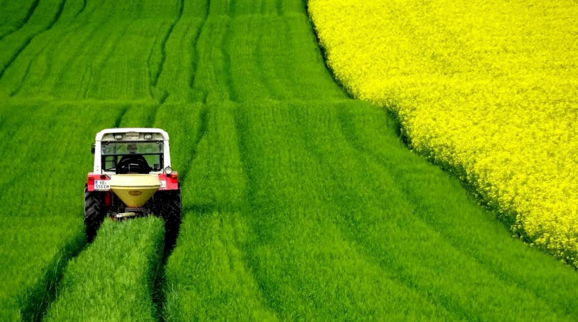 Agricultorii din România au dat lovitura cu acest fruct. Cât câștigă cu doar un hectar cultivat