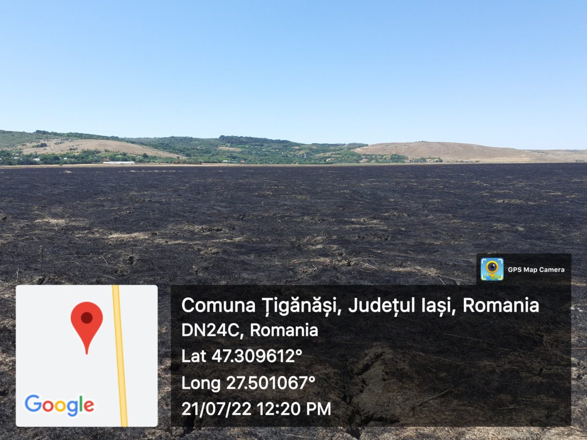 Arie naturală din Iași, protejată de interes internațional este arsă constant. Ce a anunțat Garda de Mediu – FOTO