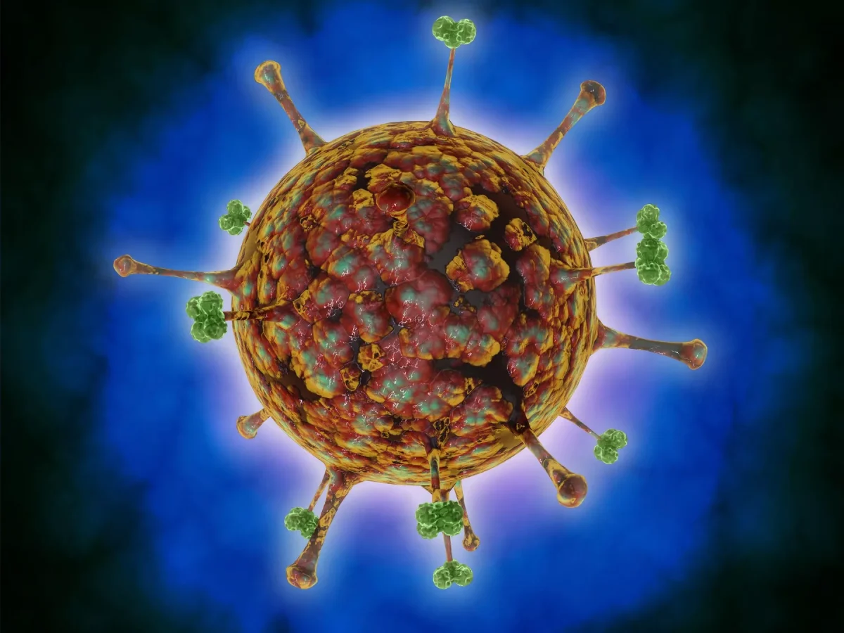 Virus de origine animală, descoperit la oameni, în China. Zeci de cazuri de infectare cu Henipavirus