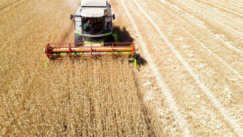 Cerealele românești sunt detronate de cerealele ucrainene mai ieftine